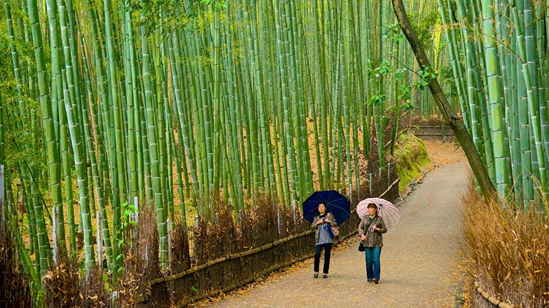 Kyoto-tourism