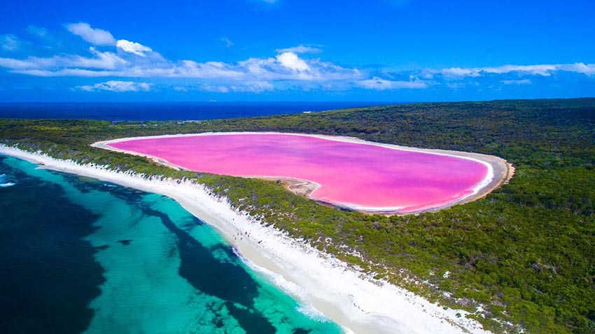 22-Lake-Hillier-Middle-Island-1