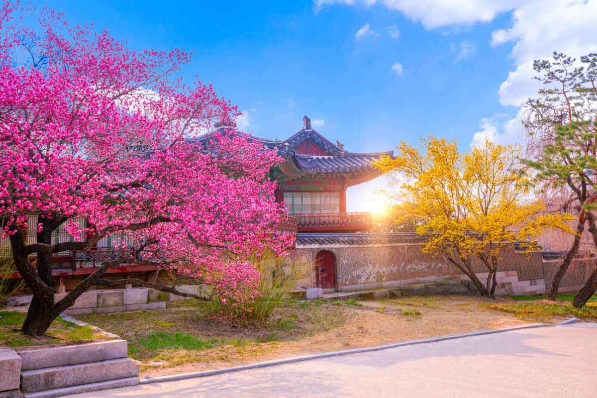 A-nice-temple-in-Korea-during-summer-season